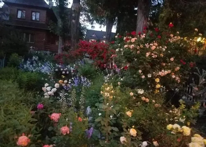 Kamieniec Appartement *